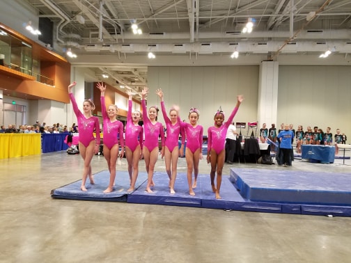 Competitive Teams – Performance Gymnastics Academy